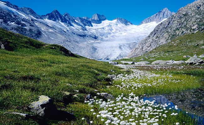 Khám phá dãy núi Alps dãy núi cao nhất của Châu Âu