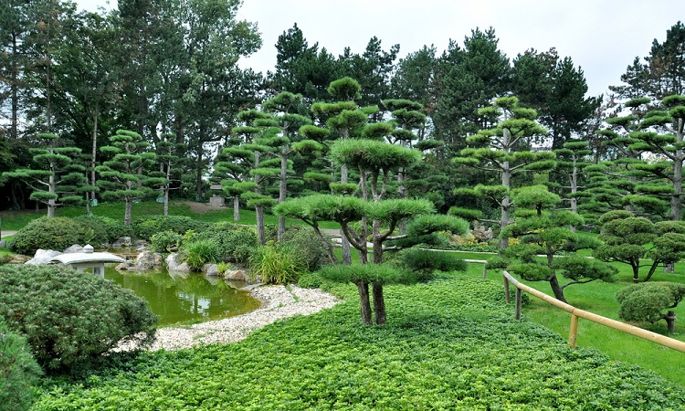 Vườn Nhật Bản Nordpark xanh mướt mắt