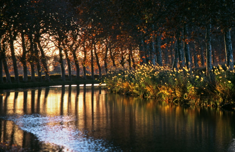 một khúc kênh đào Canal du midi 