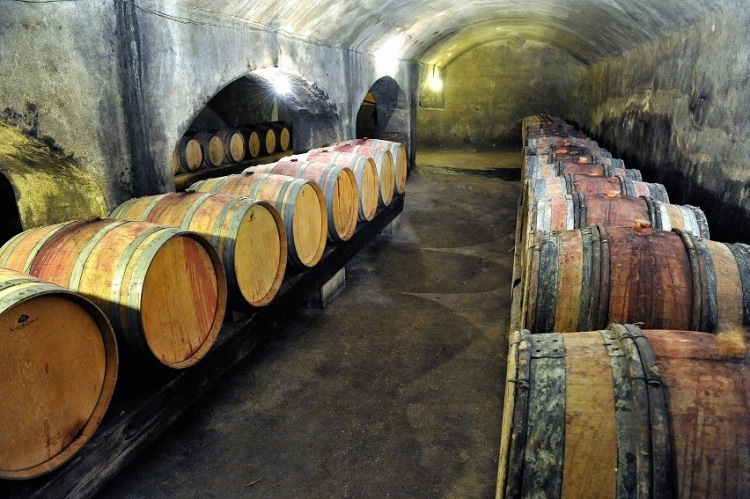Bên trong một hầm rượu vang nho