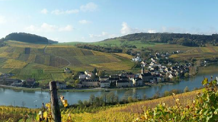 Sông Moselle